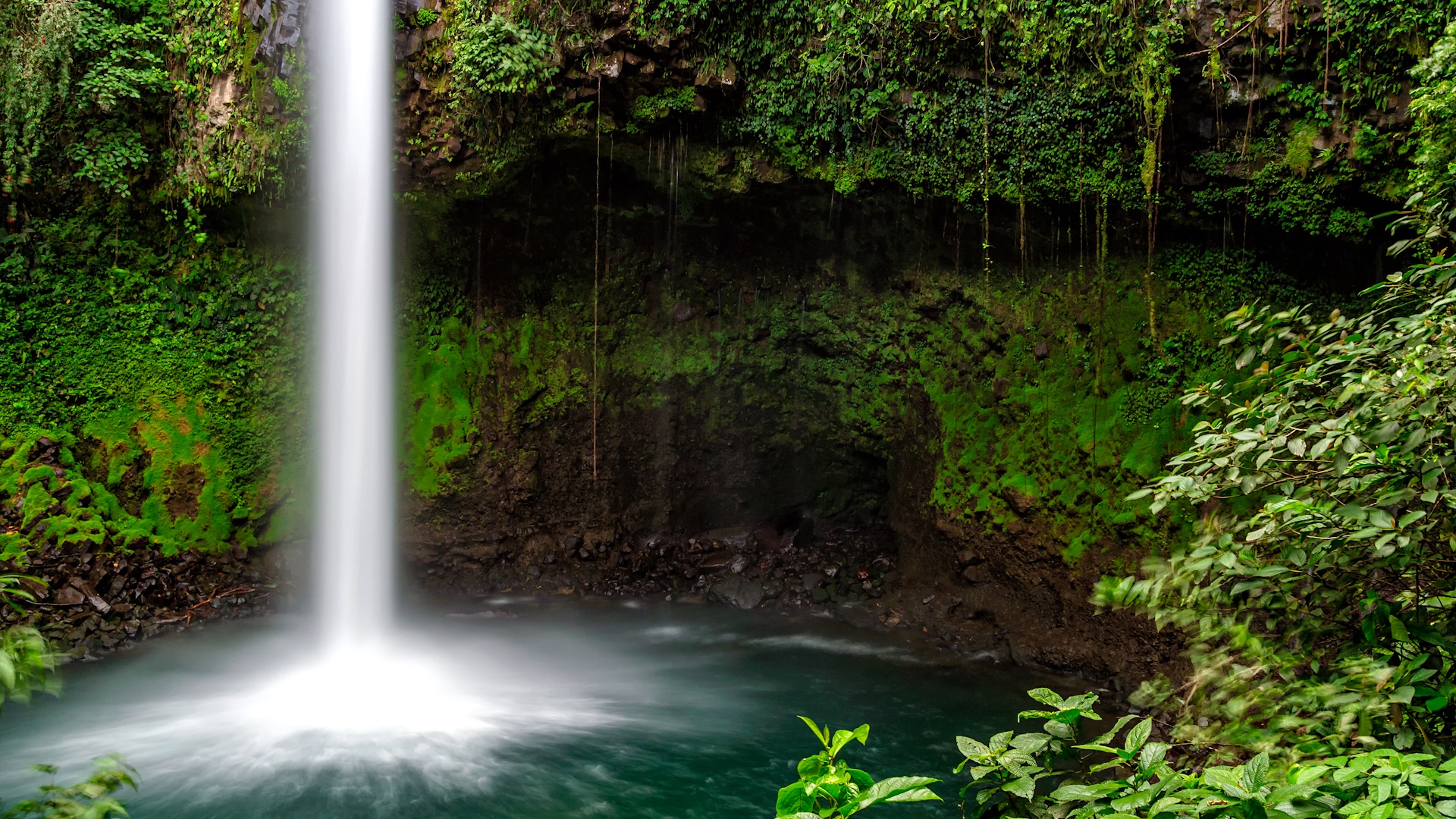 Arenal | LAT.40