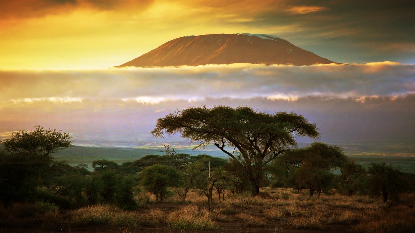 Serengeti, Ngorongoro y Zanzibar diseñado por LAT.40