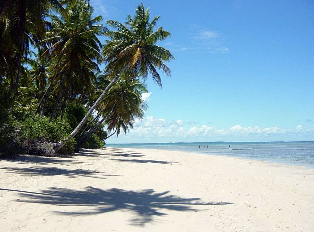 Boipeba | LAT.40
