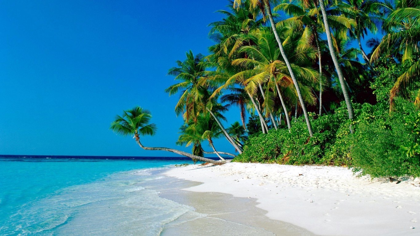 Cape Tribulation | LAT.40