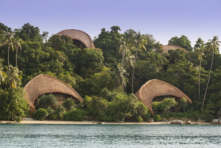 Cempedak en Cempedak Island