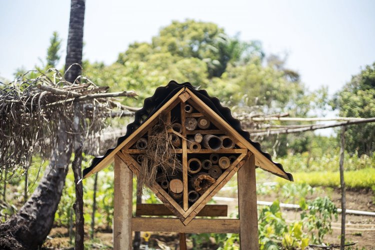 Imagen de viaje Viajes Latitud40