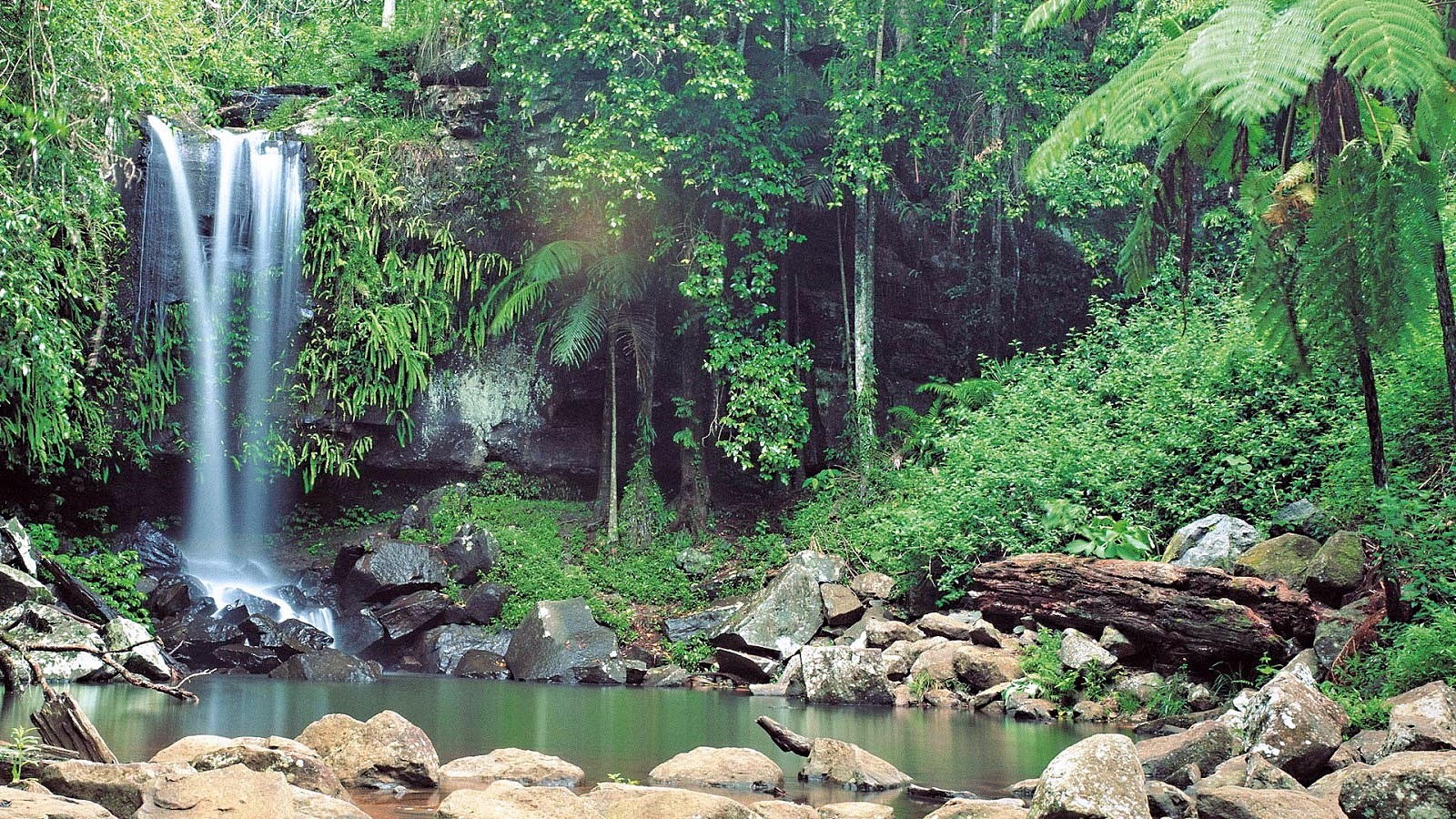 Port Douglas
