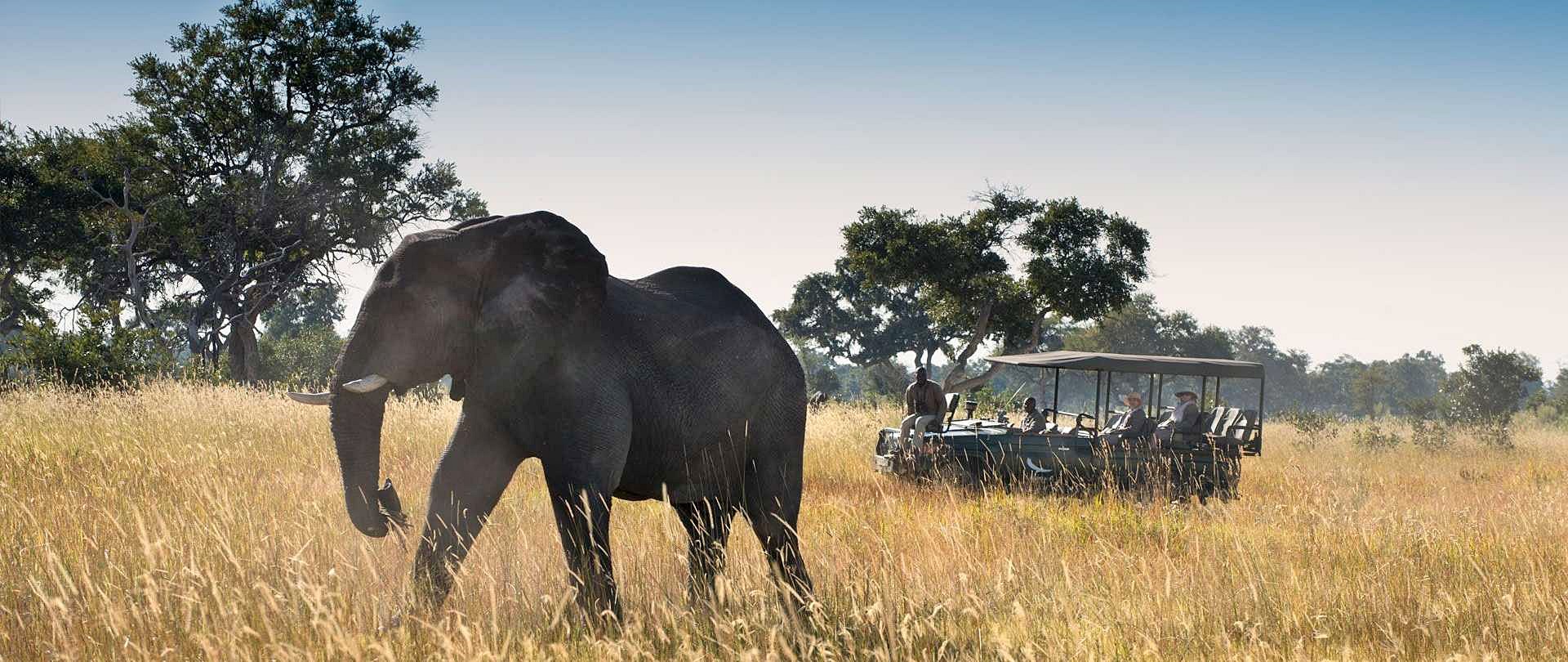 Imagen de viaje Viajes Latitud40