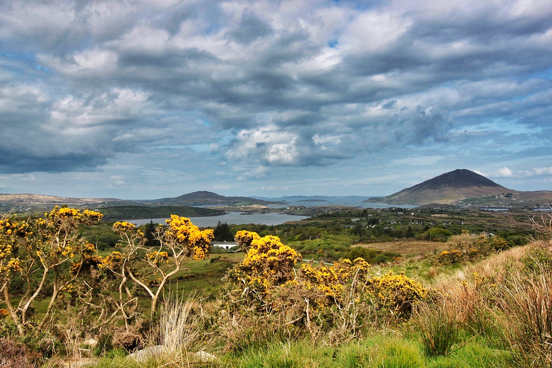 Galway | LAT.40