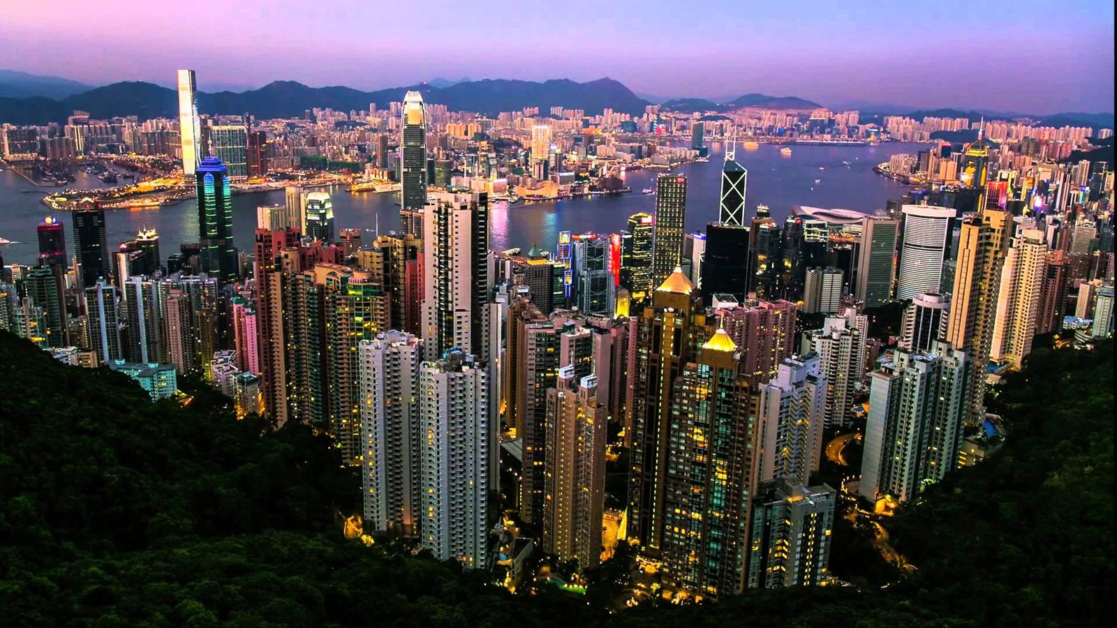 Hong Kong | LAT.40