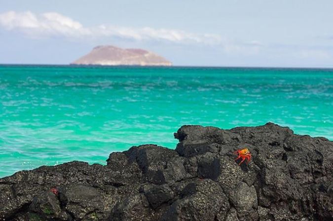 Islas Galapagos | LAT.40