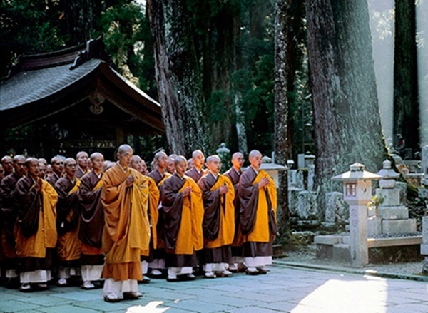 Koya | LAT.40