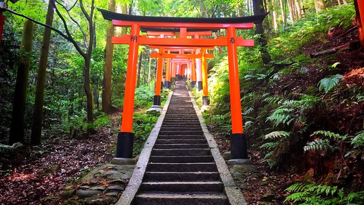 Kyoto | LAT.40