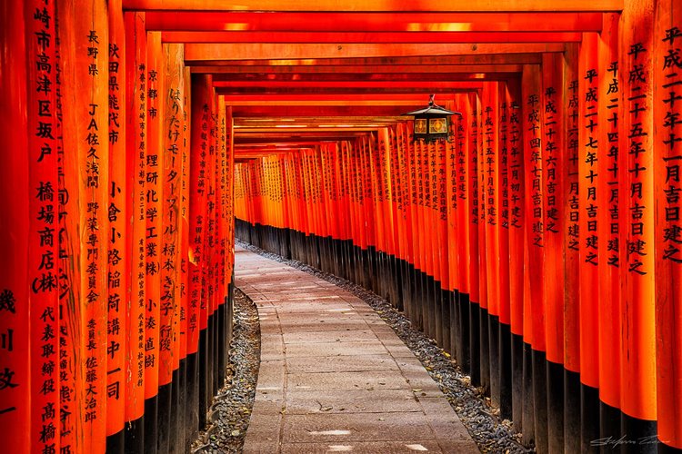 Kyoto | LAT.40