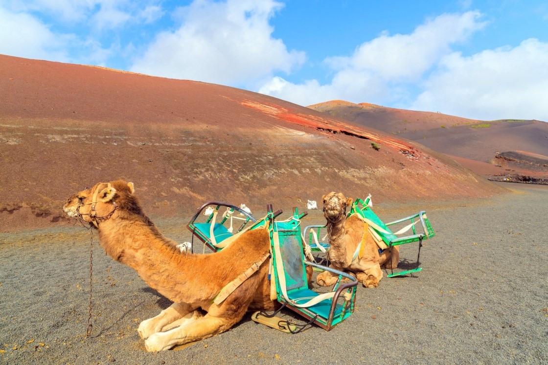 Lanzarote