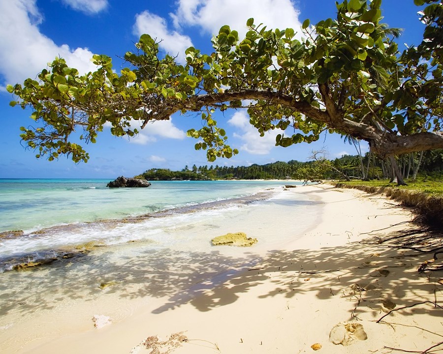 Las Galeras | LAT.40