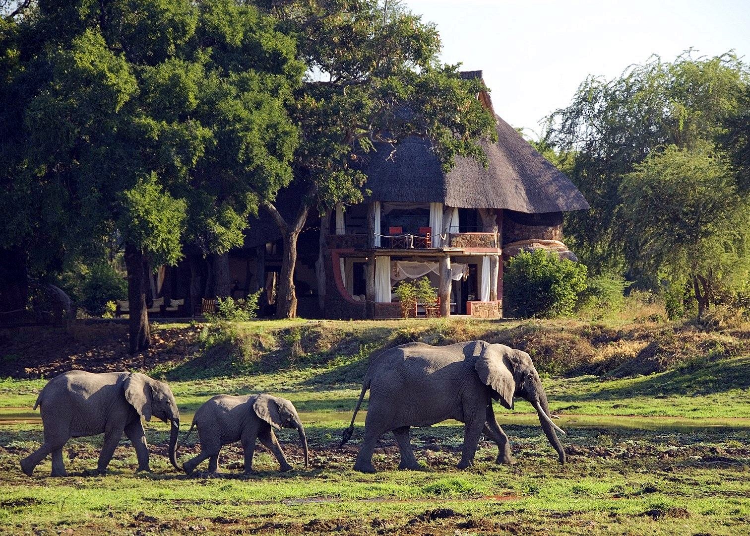 Luna de miel Luangwa Valley, Lower Zambezi y Fanjove diseñado por LAT.40