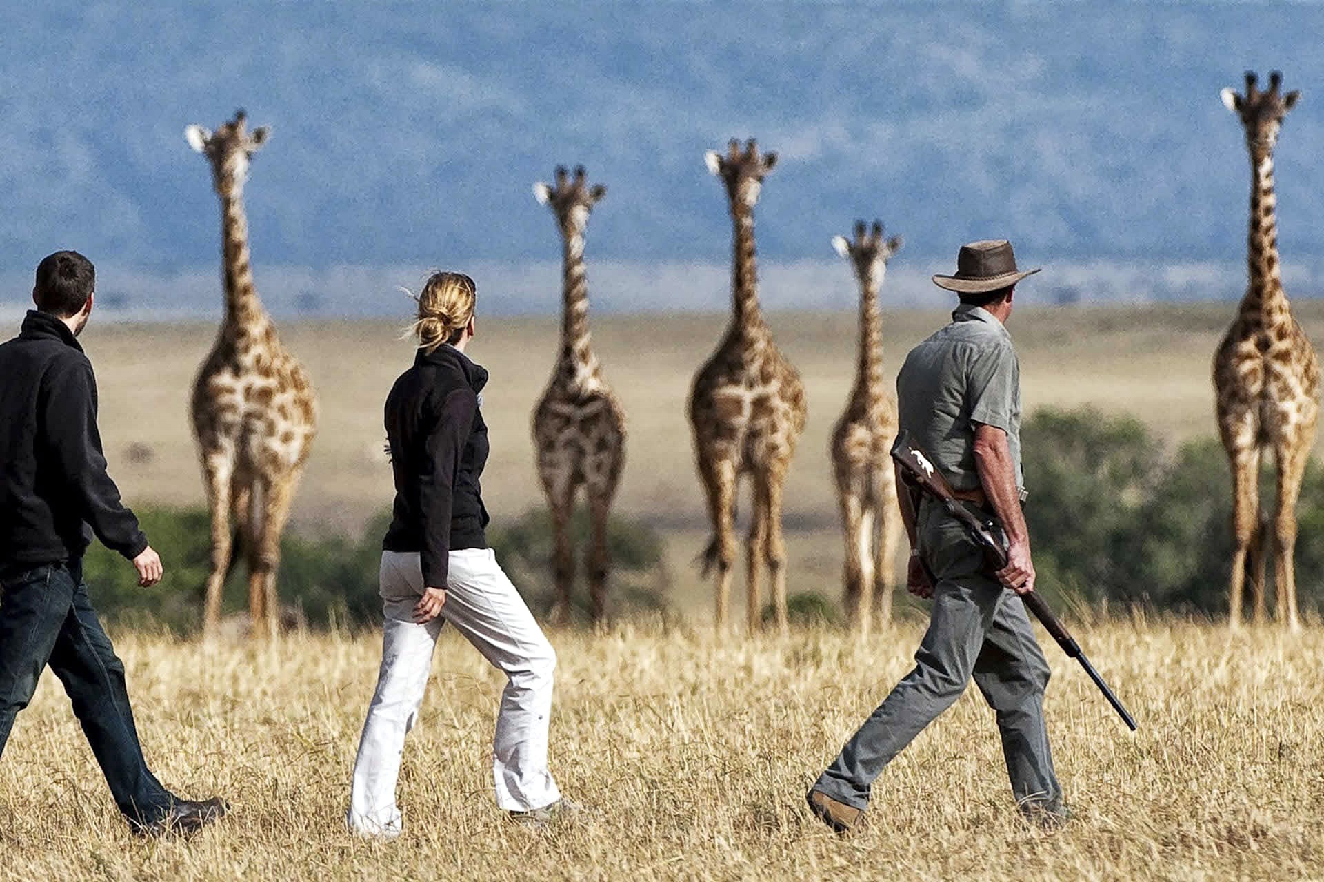 Exclusivo safari en Ruanda y Zambia diseñado por LAT.40