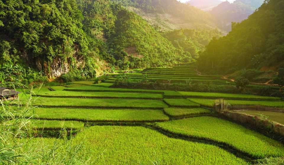 Asia diseñado por LAT.40