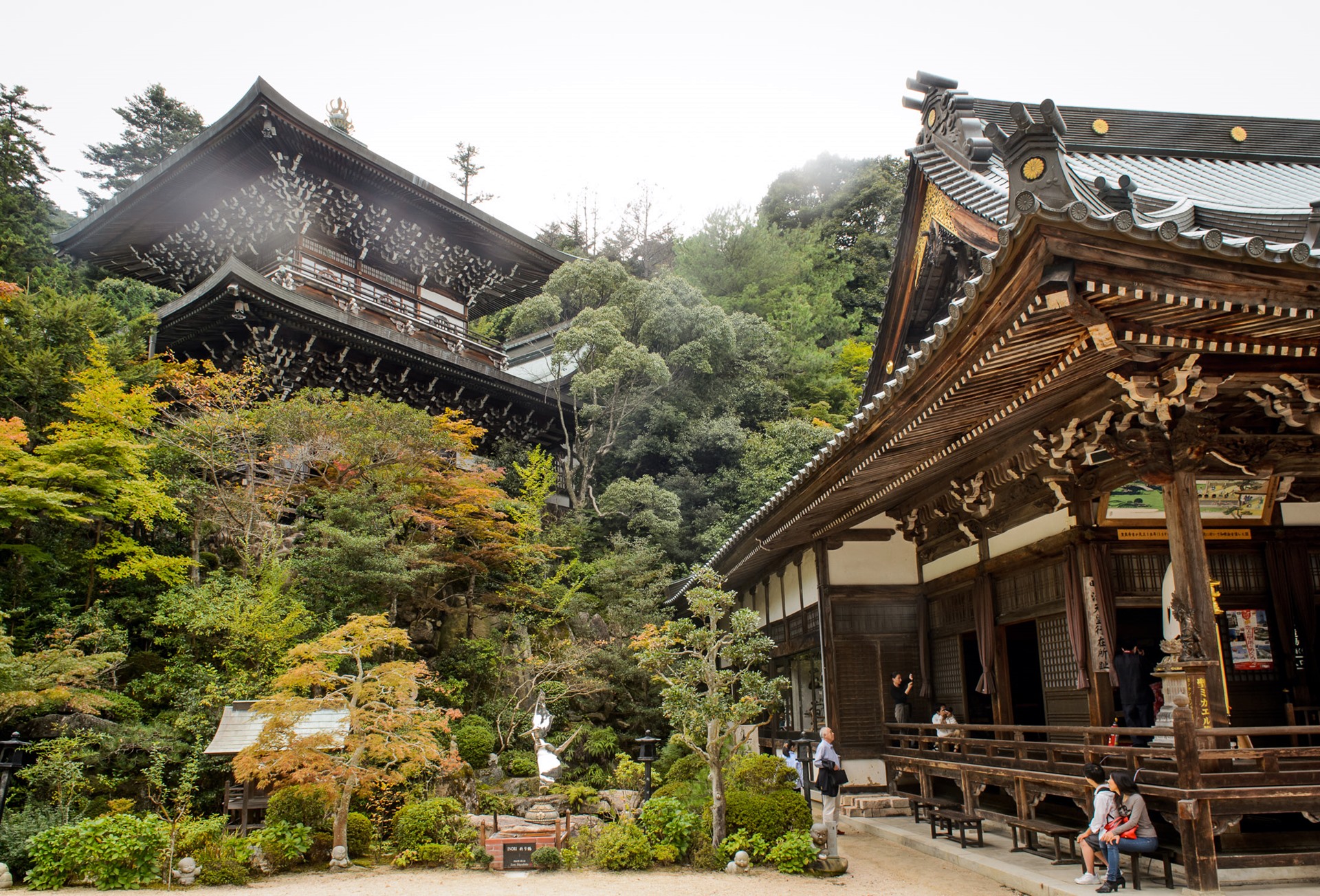 Miyajima | LAT.40