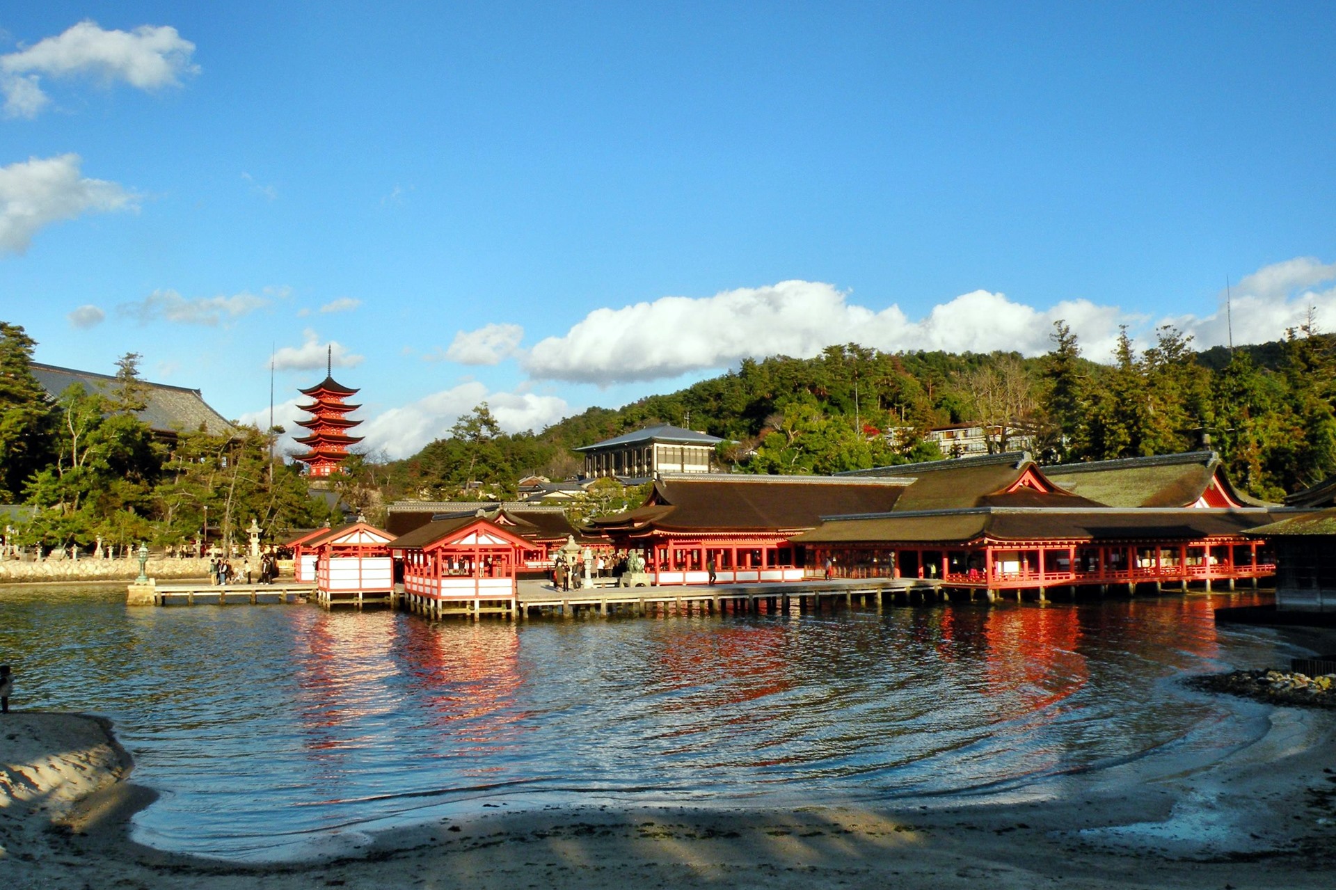 Miyajima | LAT.40