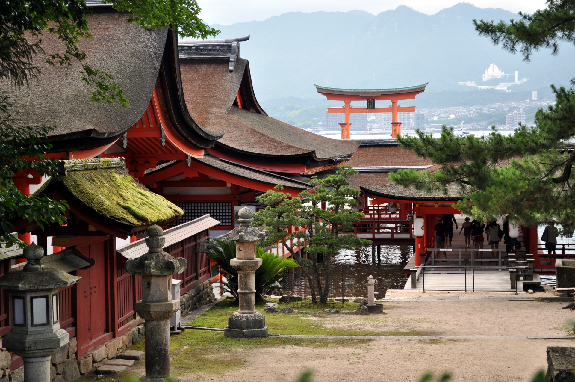 Miyajima | LAT.40