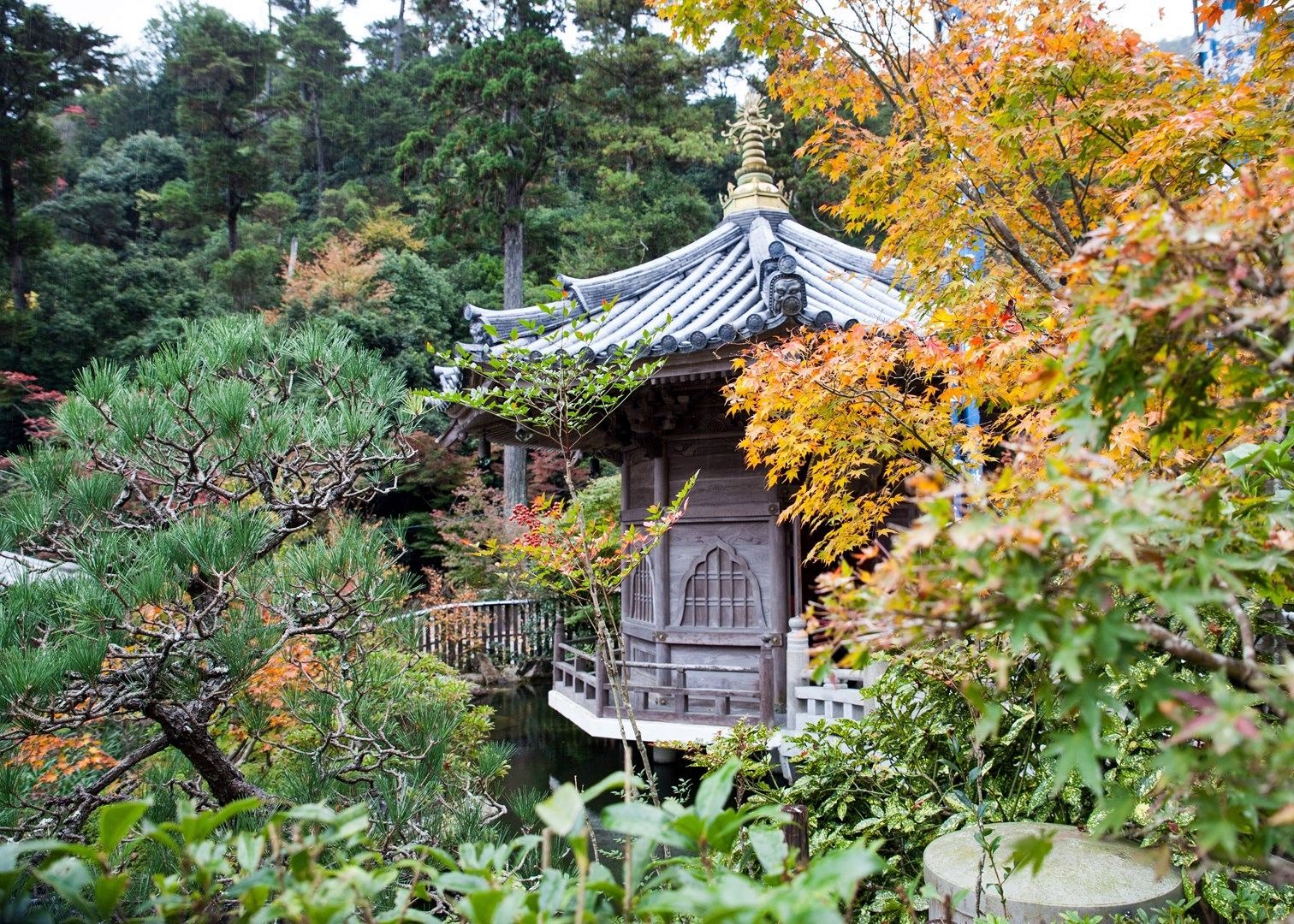 Miyajima | LAT.40