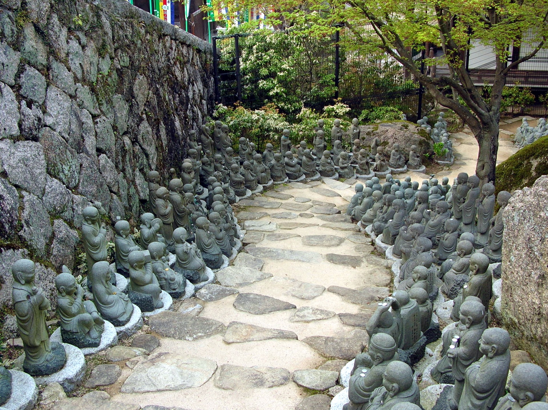 Miyajima | LAT.40
