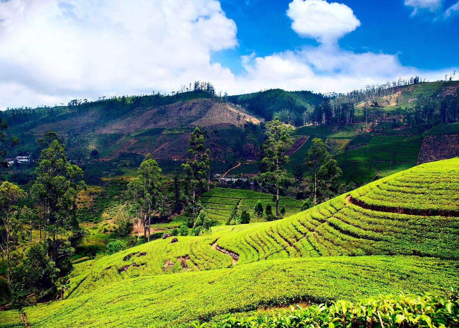 Nuwara Eliya