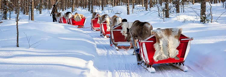 Rovaniemi | LAT.40