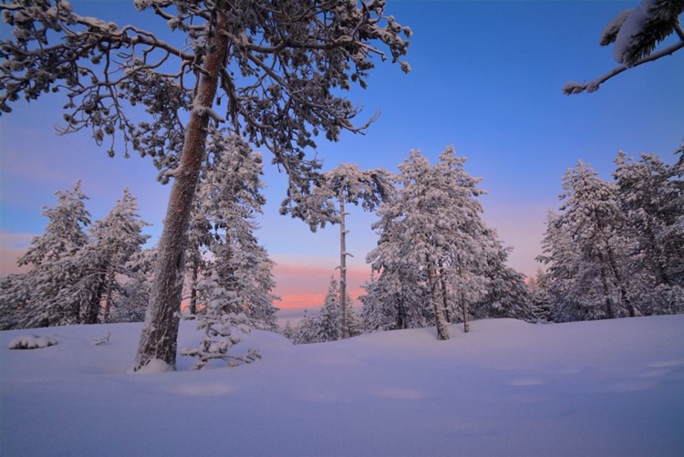 Rovaniemi | LAT.40