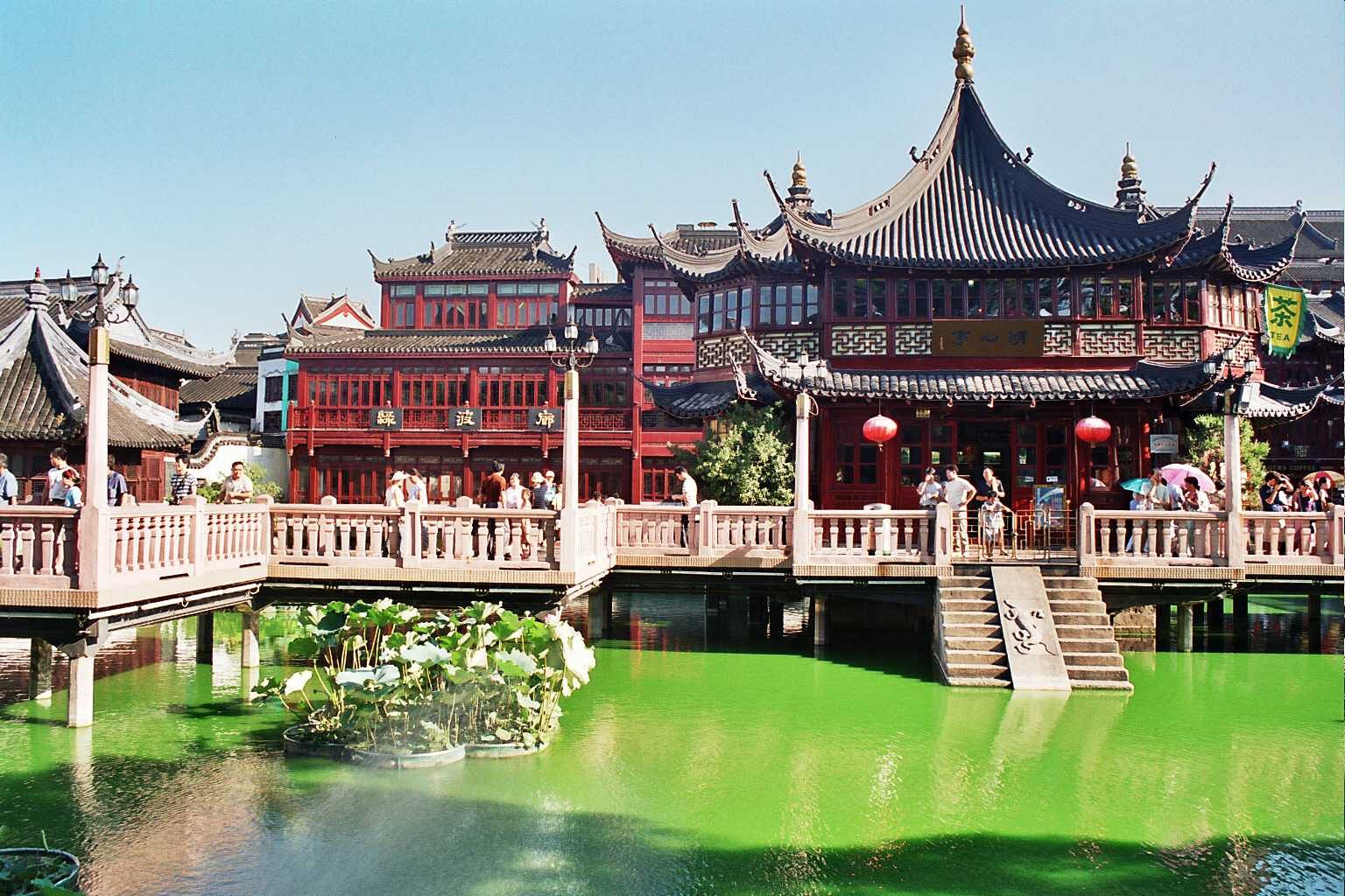 Shanghai | LAT.40