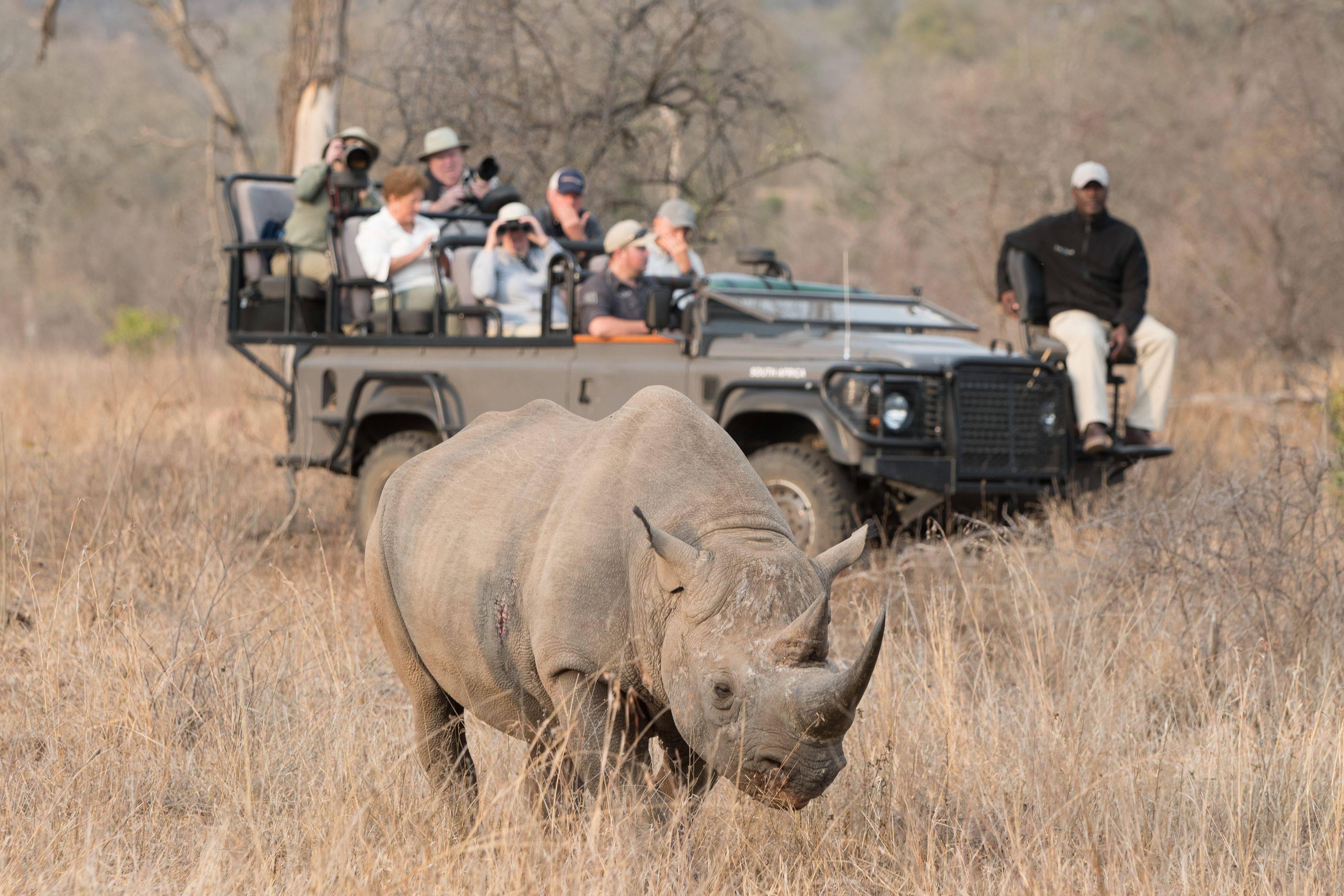 Imagen de viaje Viajes Latitud40
