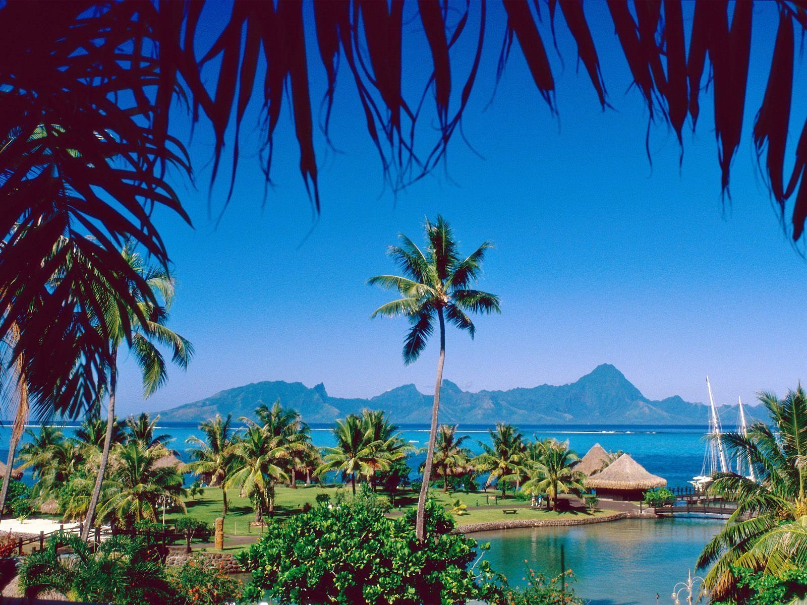 Tahiti | LAT.40