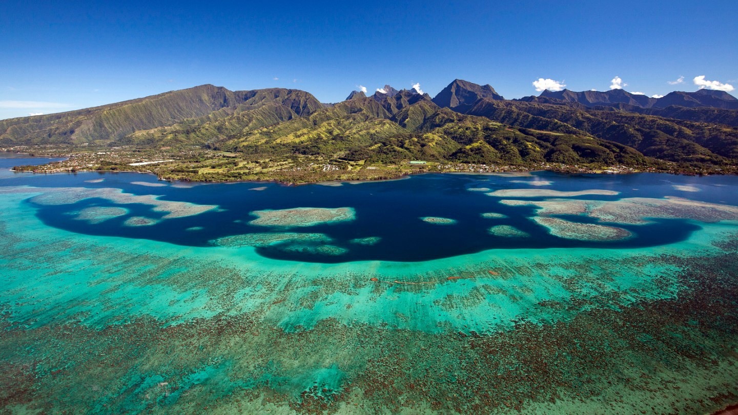 Tahiti | LAT.40