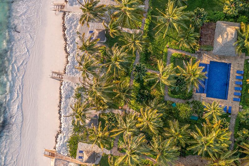 The Palms en su destino