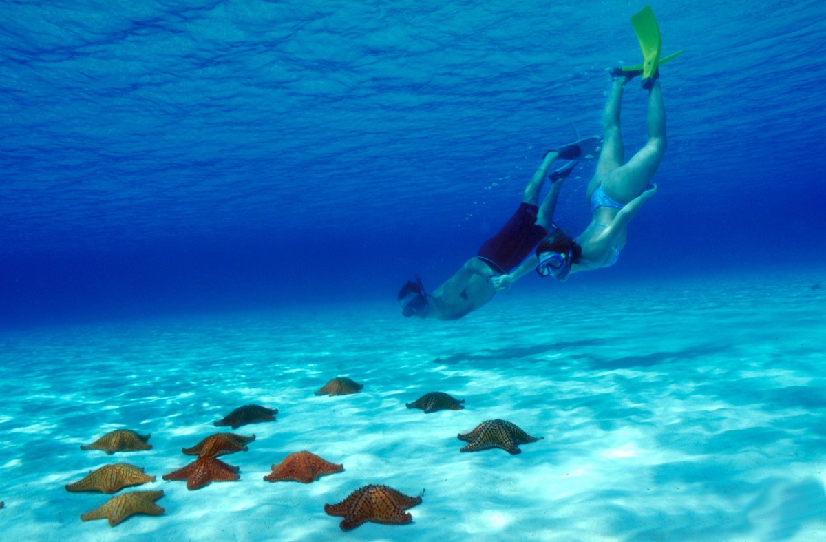 Cozumel | LAT.40