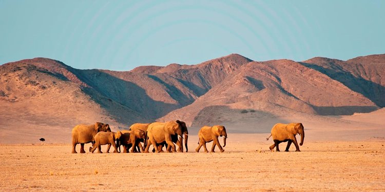 Inolvidable viaje a Namibia diseñado por LAT.40