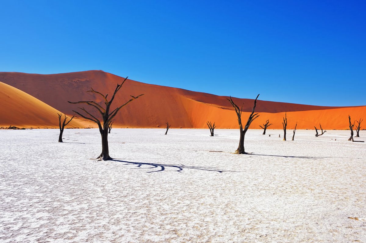 Garden Route, Ciudad del Cabo y Namibia diseñado por LAT.40