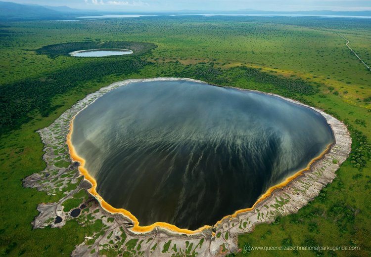 Queen Elizabeth National Park | LAT.40