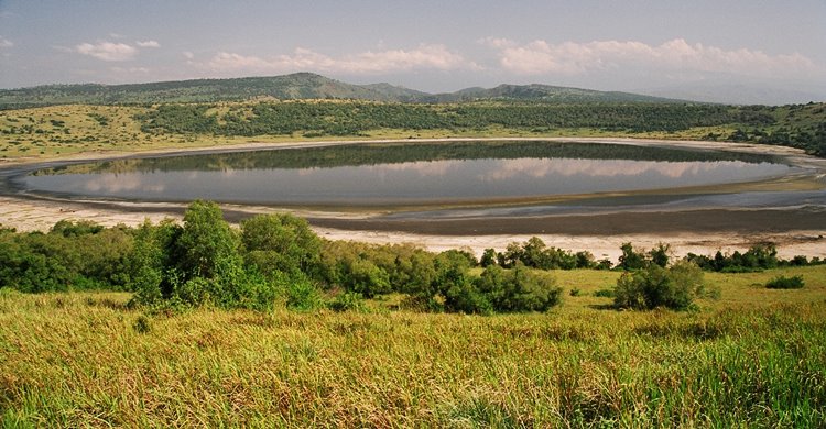 Queen Elizabeth National Park | LAT.40