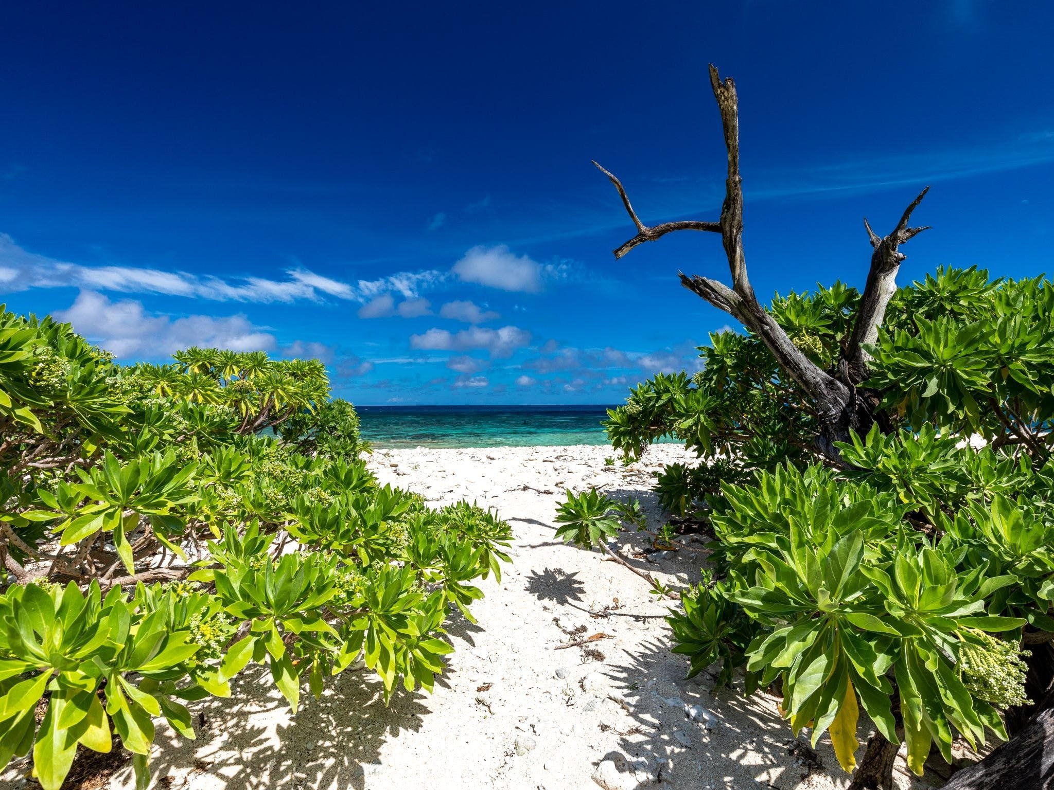 Wilson Island en Gran Barrera de Coral