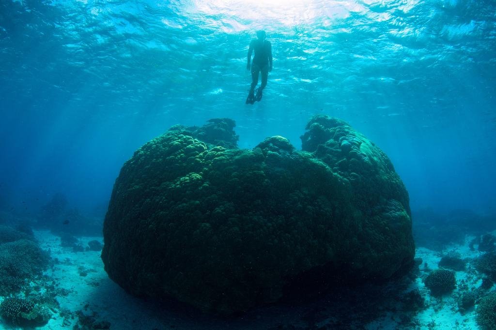 Wilson Island en Gran Barrera de Coral