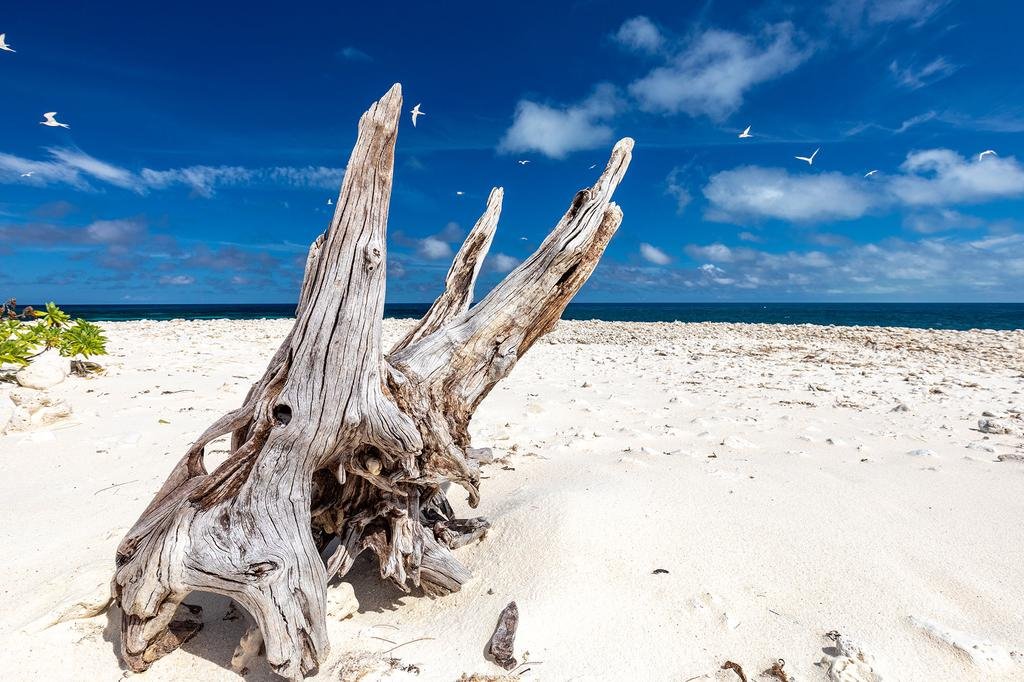Wilson Island en Gran Barrera de Coral