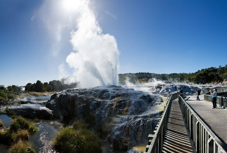Rotorua | LAT.40