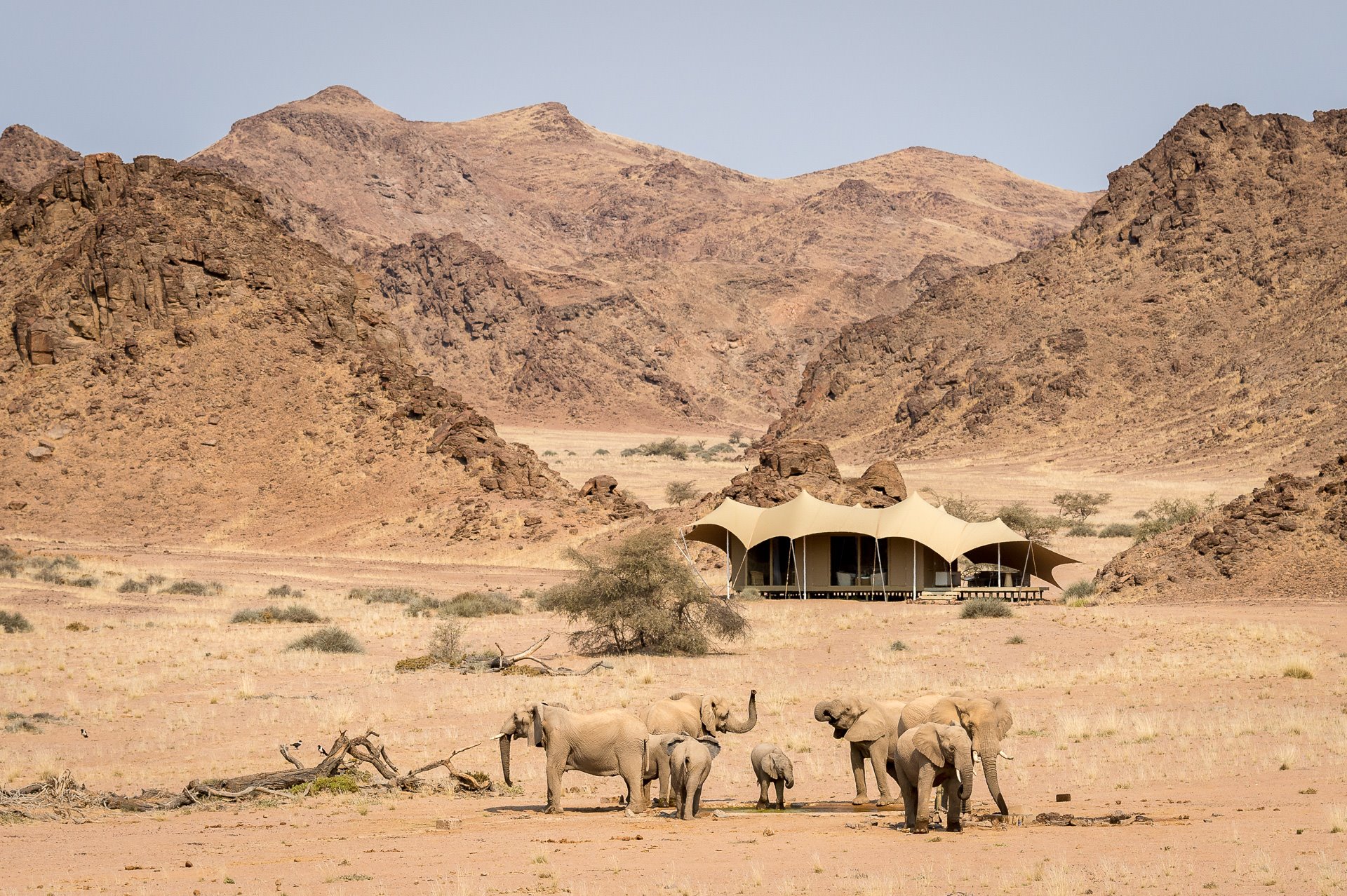 Skeleton Coast