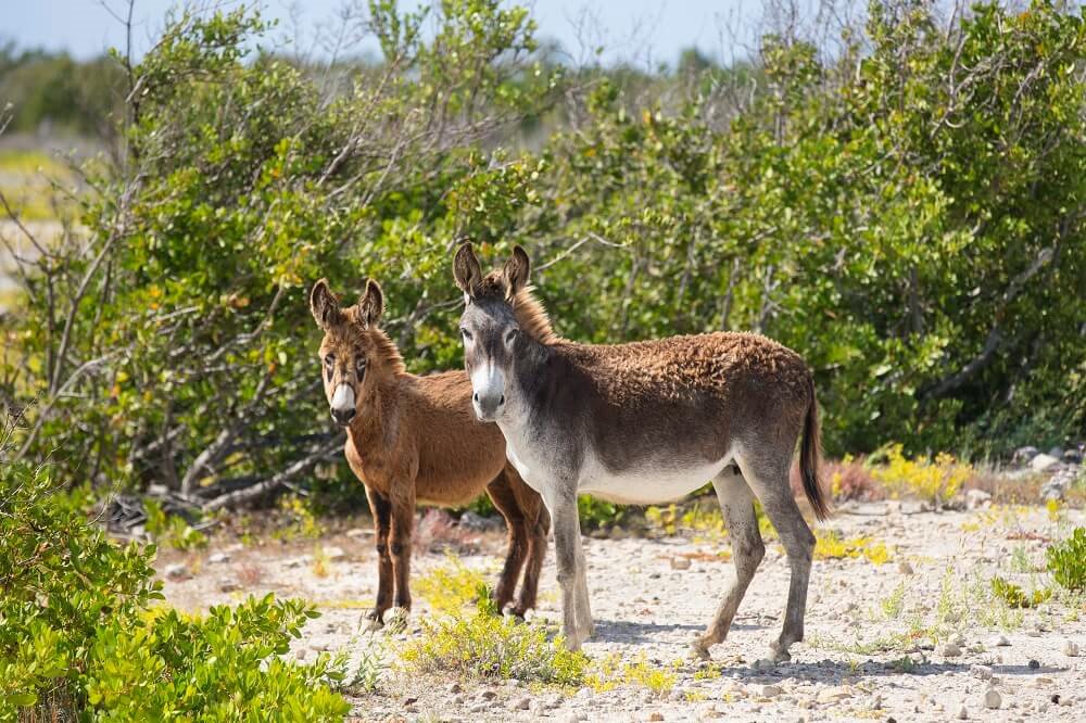 Imagen de viaje Viajes Latitud40