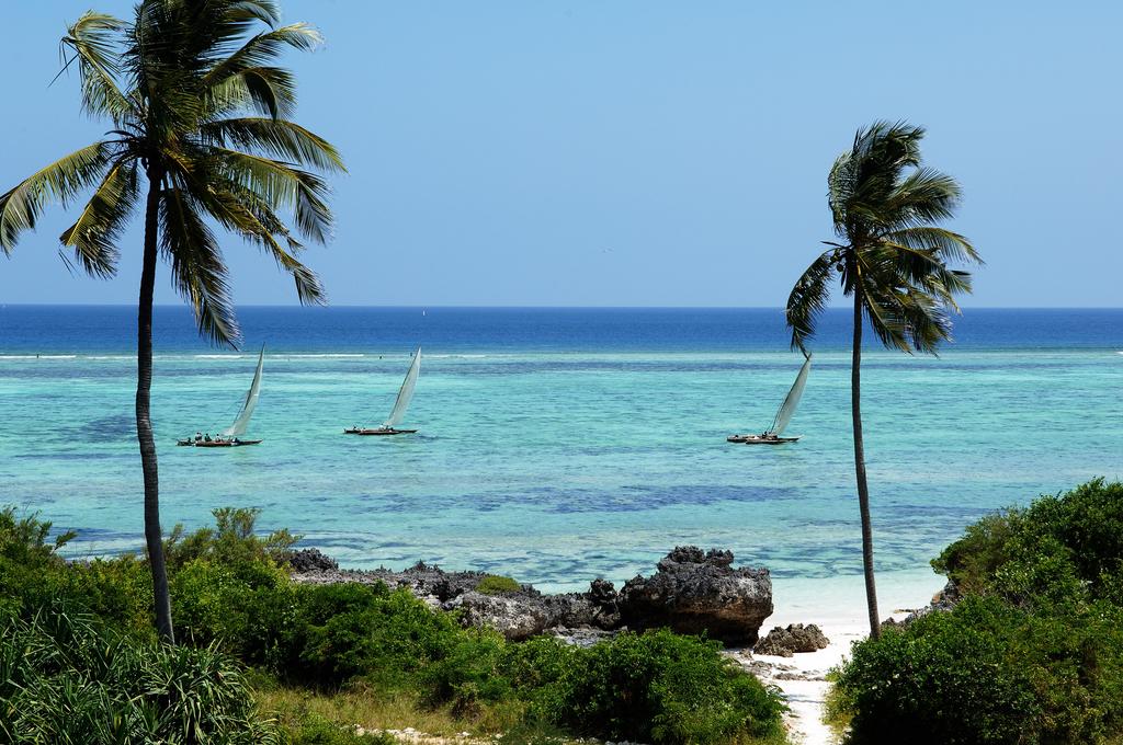 Zanzibar | LAT.40