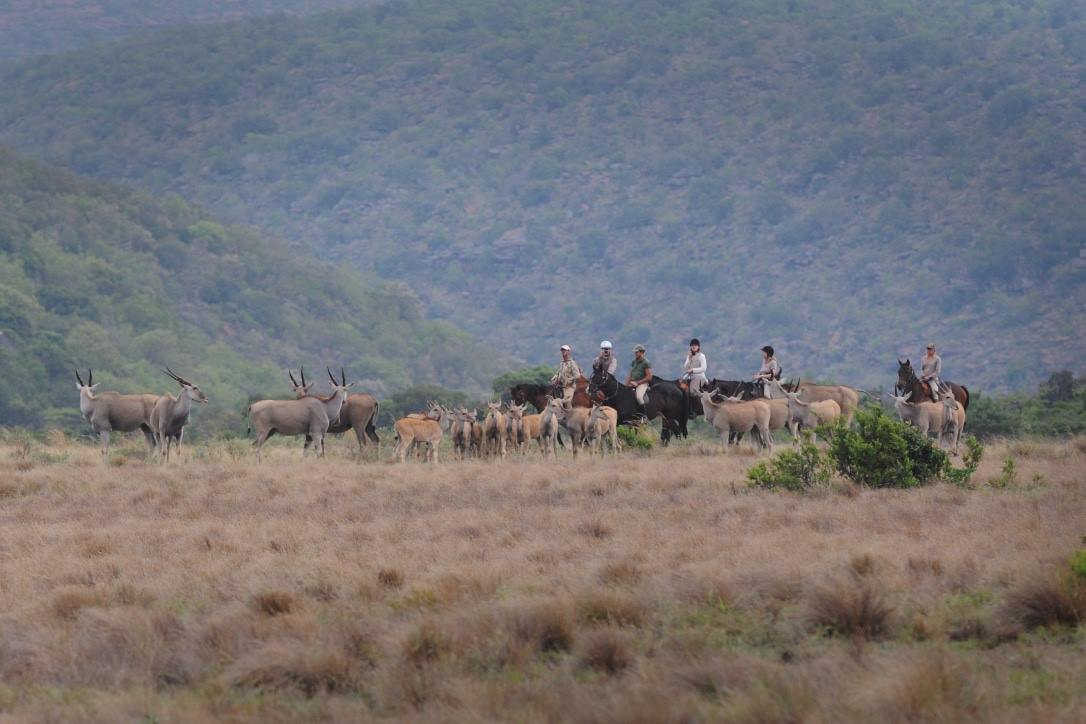 Imagen de viaje Viajes Latitud40