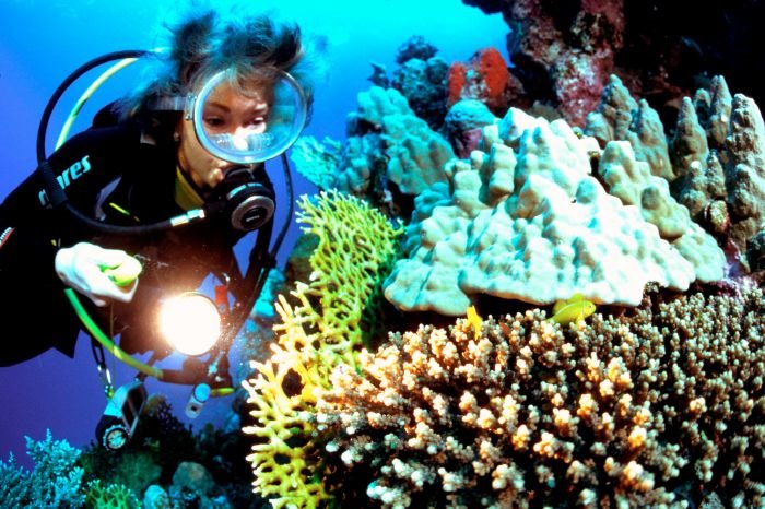 Tala Bay