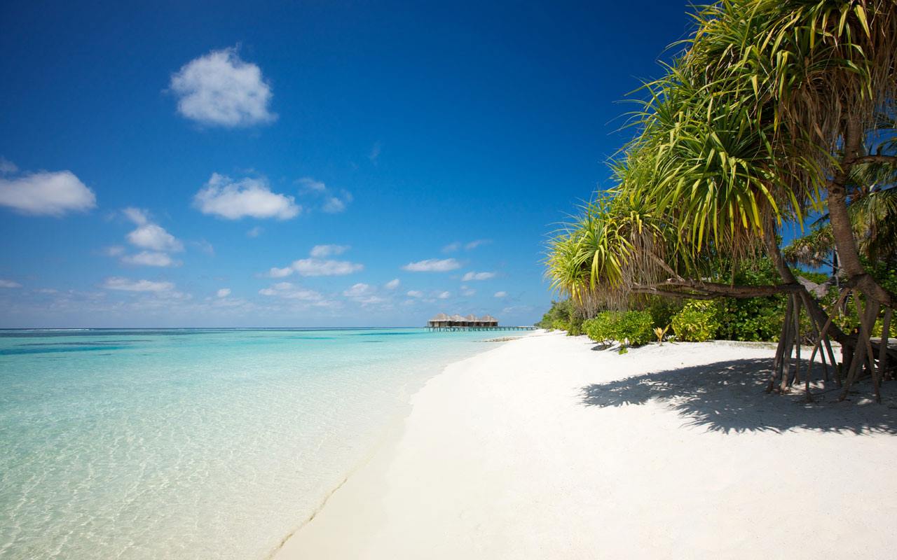 LUX* SOUTH ARI ATOLL en South Ari Atoll
