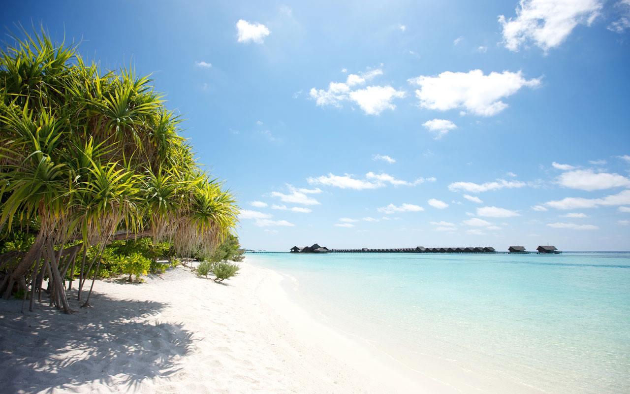 LUX* SOUTH ARI ATOLL en South Ari Atoll