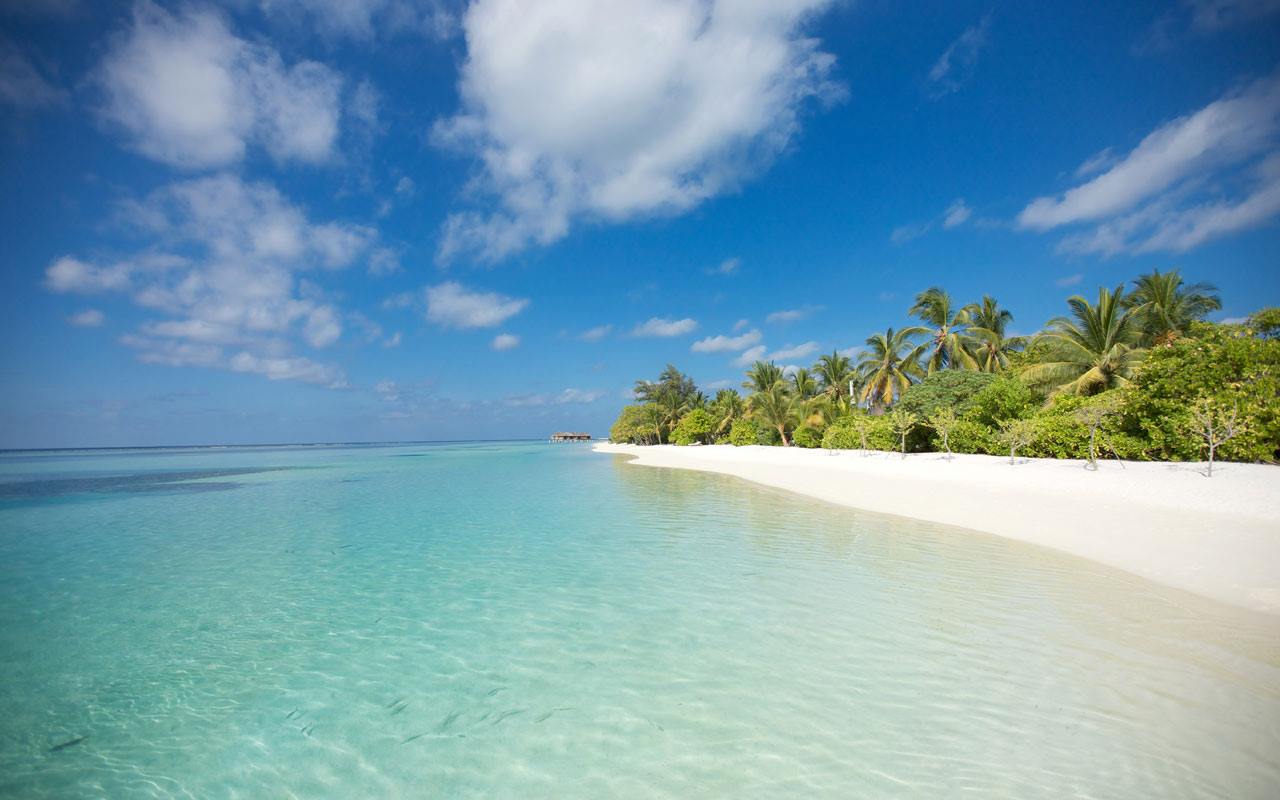 LUX* SOUTH ARI ATOLL en South Ari Atoll