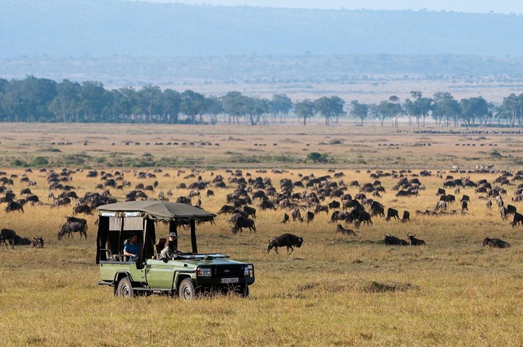 Mara Plains Camp Great Plains en Masai Mara